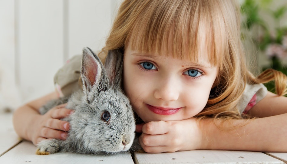 Mädchen und Häschen - Kommen Tiere in den Himmel?