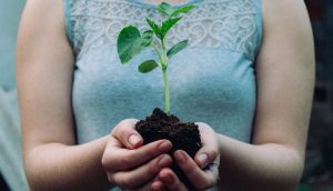 Was man persönlich für die Umwelt tun kann, ist, einen Baum zu pflanzen. Daher sieht man hier zwei Hände, die etwas Erde halten, worin ein kleiner Steckling steckt.
