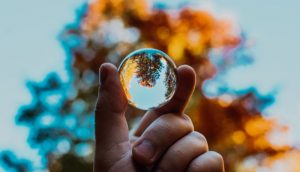 Dieser Beitrag befasst sich mit dem wichtigen Thema Umweltschutz. Auf dem Titelbild ist darum eine Hand zu sehen, die eine Glaskugel hält. Im Hintergrund ist ein Baum in herbstfarben zu sehen, welcher sich in der Kugel seitenverkehrt widerspiegelt.
