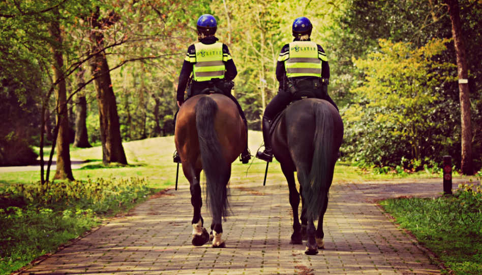 Hier sind zwei Polizisten von hinten zu sehen, die auf Pferden unterwegs sind. Die Polizei verbinden viele direkt mit Gehorsam bzw. Ungehorsam.