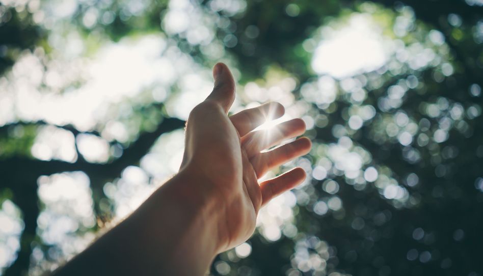 Eine Hand ist der Sonne entgegengestreckt